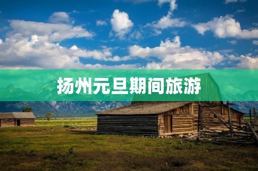 扬州元旦期间旅游