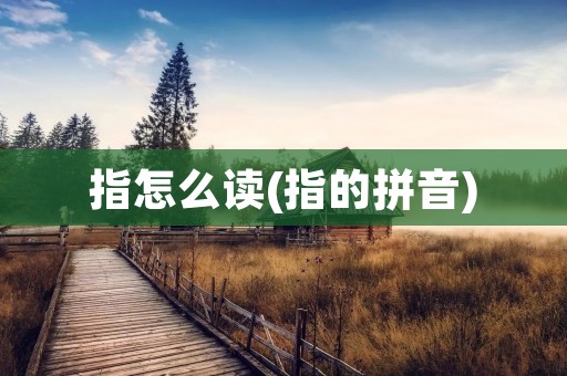 指怎么读(指的拼音)