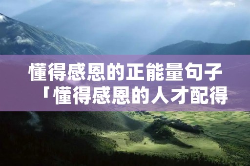 懂得感恩的正能量句子「懂得感恩的人才配得上别人的善良」