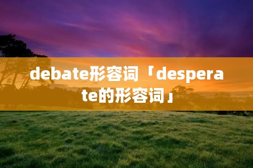 debate形容词「desperate的形容词」