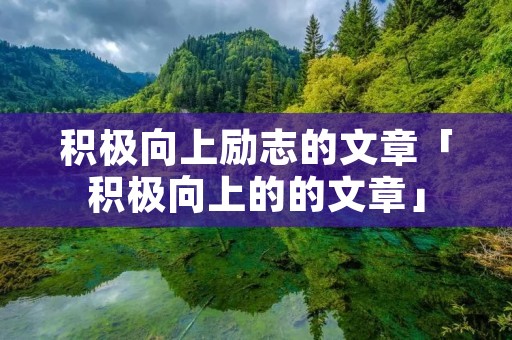 积极向上励志的文章「积极向上的的文章」