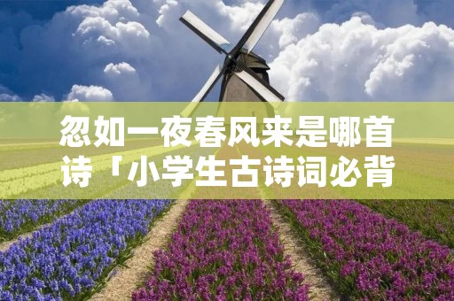 忽如一夜春风来是哪首诗「小学生古诗词必背100首」
