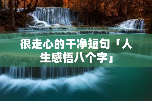 很走心的干净短句「人生感悟八个字」
