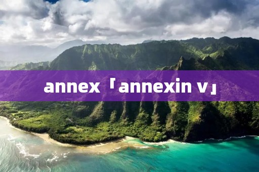 annex「annexin v」 annex「annexin v」