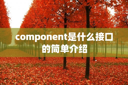 component是什么接口的简单介绍 component是什么接口的简单介绍
