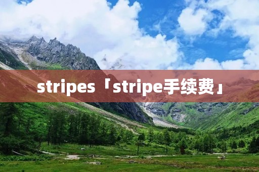 stripes「stripe手续费」