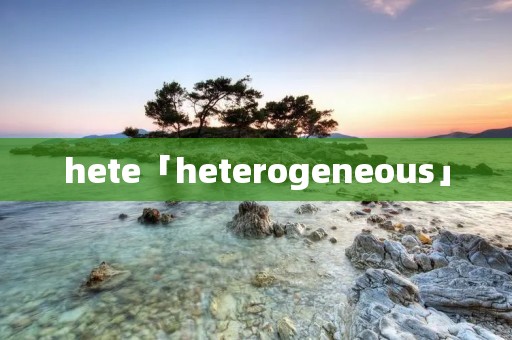 hete「heterogeneous」