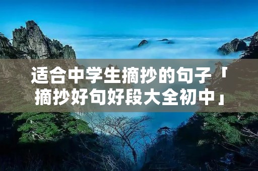 适合中学生摘抄的句子「摘抄好句好段大全初中」