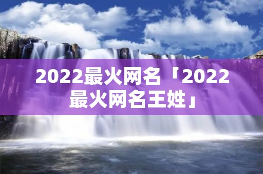 2022最火网名「2022最火网名王姓」