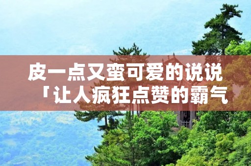 皮一点又蛮可爱的说说「让人疯狂点赞的霸气说说」