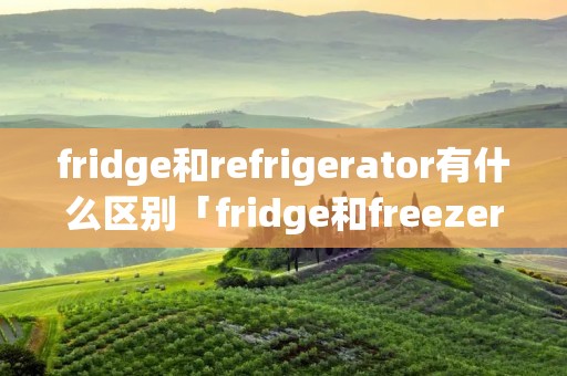 fridge和refrigerator有什么区别「fridge和freezer区别」