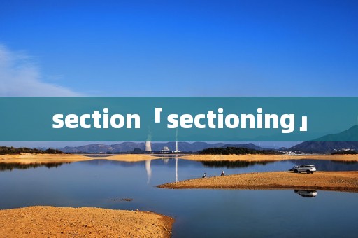 section「sectioning」