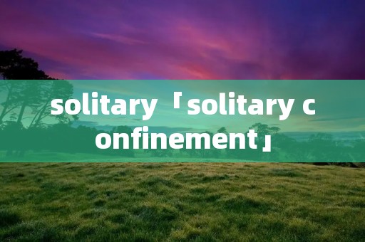 solitary「solitary confinement」