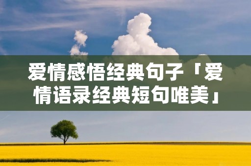 爱情感悟经典句子「爱情语录经典短句唯美」 爱情感悟经典句子「爱情语录经典短句唯美」
