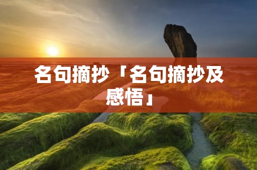 名句摘抄「名句摘抄及感悟」