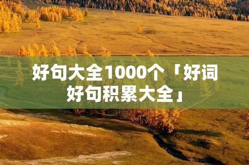 好句大全1000个「好词好句积累大全」