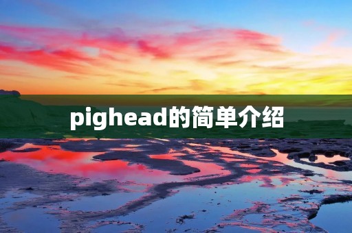 pighead的简单介绍 pighead的简单介绍