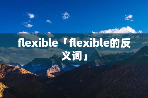 flexible「flexible的反义词」