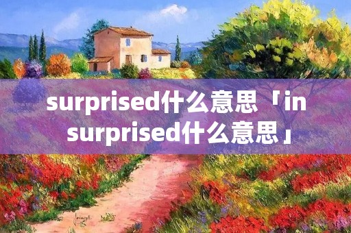 surprised什么意思「in surprised什么意思」