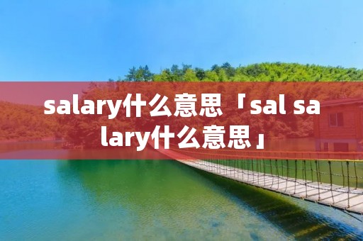 salary什么意思「sal salary什么意思」