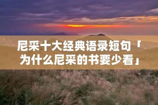 尼采十大经典语录短句「为什么尼采的书要少看」