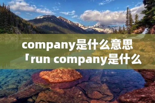 company是什么意思「run company是什么意思」