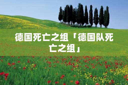 德国死亡之组「德国队死亡之组」