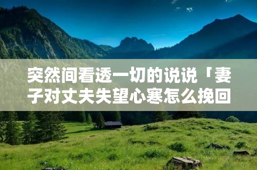 突然间看透一切的说说「妻子对丈夫失望心寒怎么挽回」