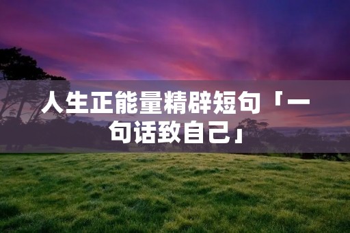 人生正能量精辟短句「一句话致自己」