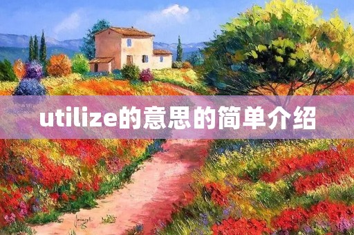 utilize的意思的简单介绍 utilize的意思的简单介绍