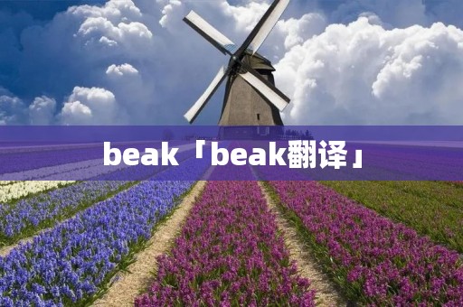 beak「beak翻译」