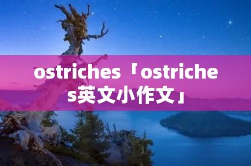 ostriches「ostriches英文小作文」 ostriches「ostriches英文小作文」