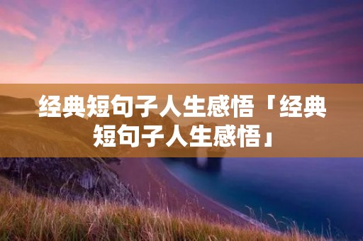 经典短句子人生感悟「经典短句子人生感悟」