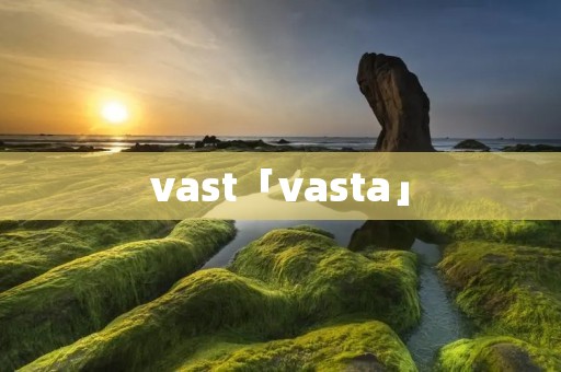 vast「vasta」