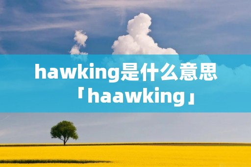 hawking是什么意思「haawking」