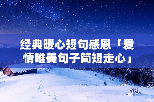 经典暖心短句感恩「爱情唯美句子简短走心」