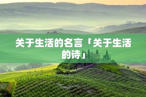 关于生活的名言「关于生活的诗」