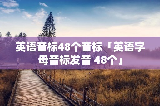 英语音标48个音标「英语字母音标发音 48个」