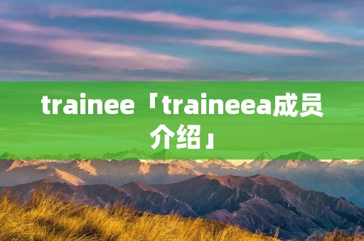 trainee「traineea成员介绍」