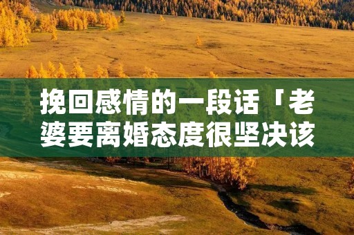 挽回感情的一段话「老婆要离婚态度很坚决该怎么挽回」