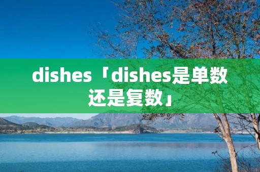 dishes「dishes是单数还是复数」 dishes「dishes是单数还是复数」