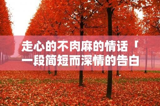 走心的不肉麻的情话「一段简短而深情的告白200字」