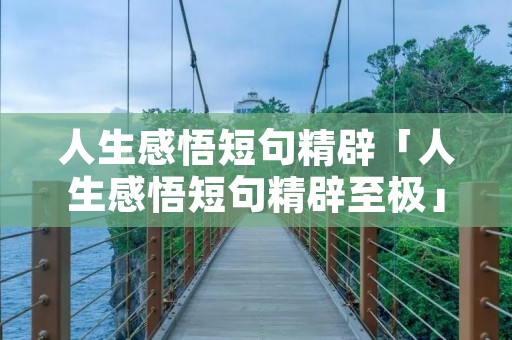 人生感悟短句精辟「人生感悟短句精辟至极」