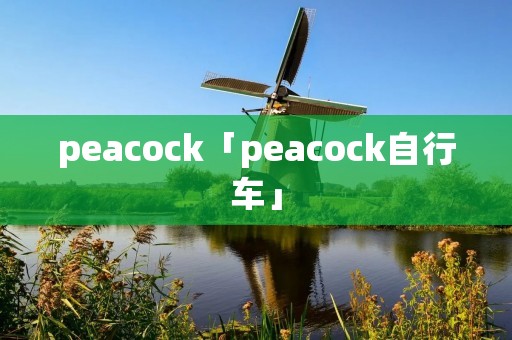 peacock「peacock自行车」