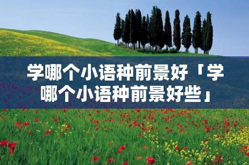 学哪个小语种前景好「学哪个小语种前景好些」 学哪个小语种前景好「学哪个小语种前景好些」