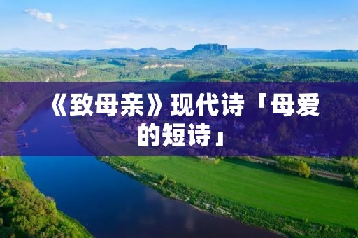 《致母亲》现代诗「母爱的短诗」