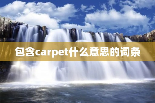 包含carpet什么意思的词条 包含carpet什么意思的词条