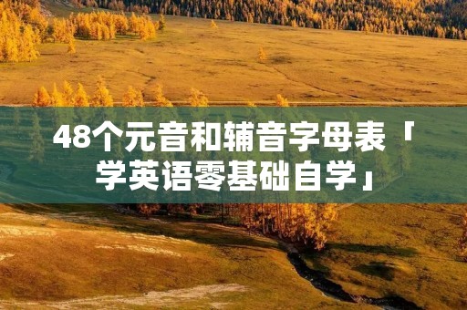 48个元音和辅音字母表「学英语零基础自学」
