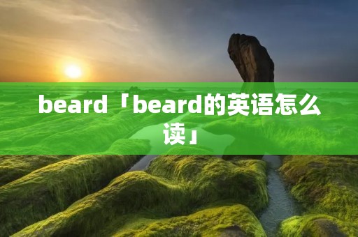 beard「beard的英语怎么读」