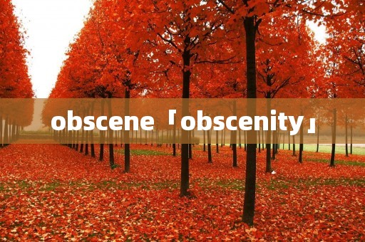 obscene「obscenity」